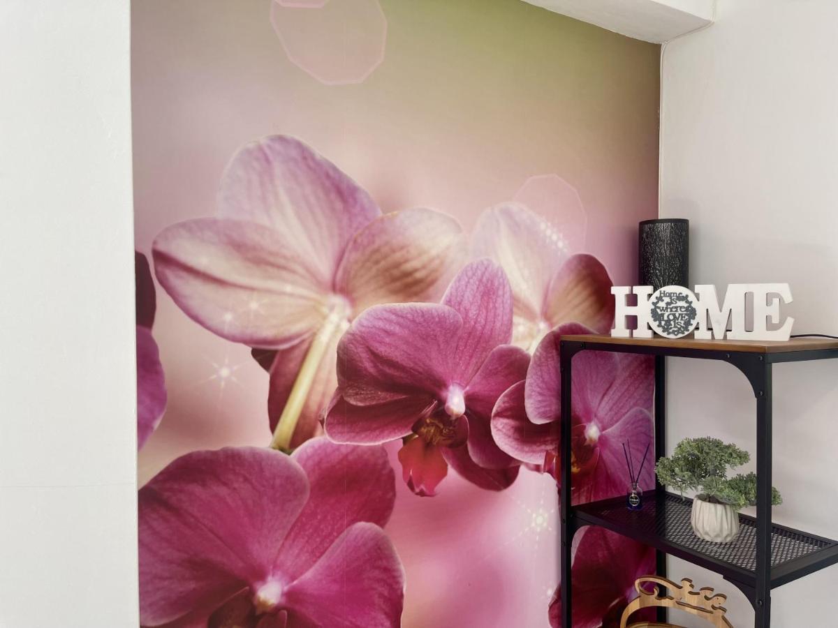 ベニドルムTorre Colonアパートメント エクステリア 写真